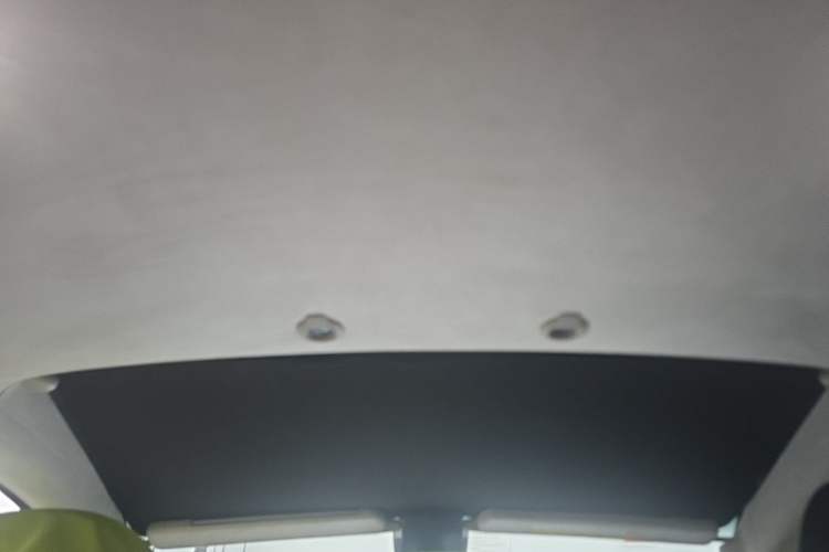 Used XPeng G3 2019 Deluxe Edition Headliner