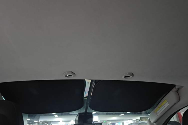 Used XPeng G3 2019 Deluxe Edition Headliner