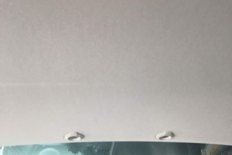 Used XPeng G3 2019 Smart Edition Headliner