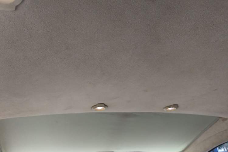 Used XPeng G3 2019 Deluxe Edition Headliner