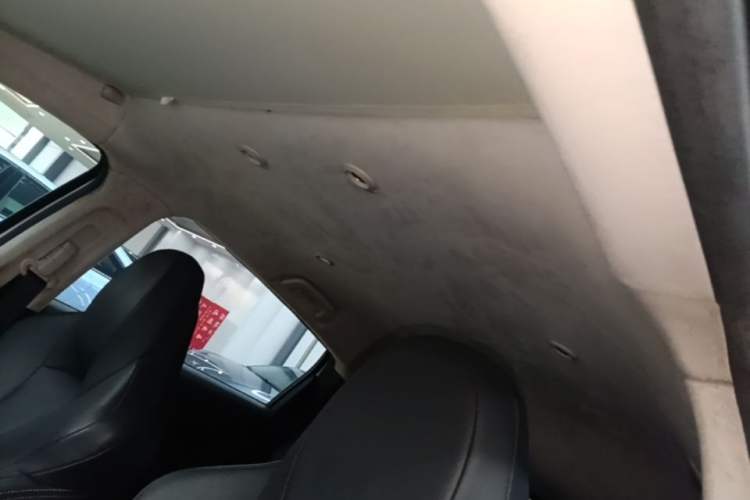 Used XPeng G3 2019 Deluxe Edition Headliner