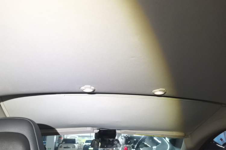 Used XPeng G3 2019 Smart Edition Headliner