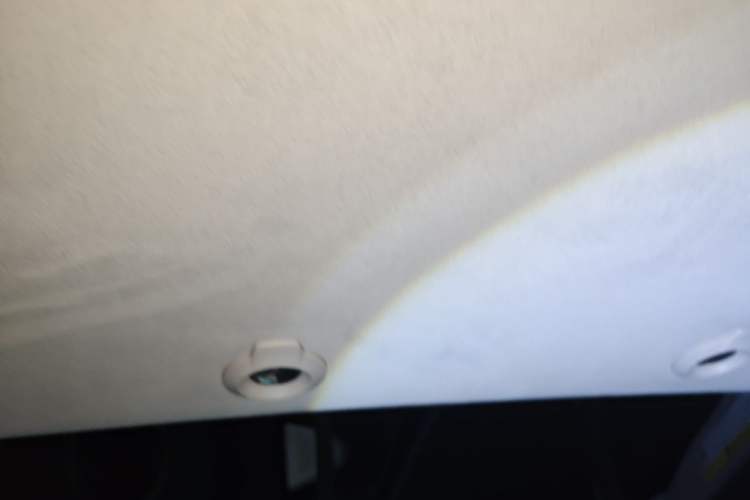 Used XPeng G3 2019 Deluxe Edition Headliner