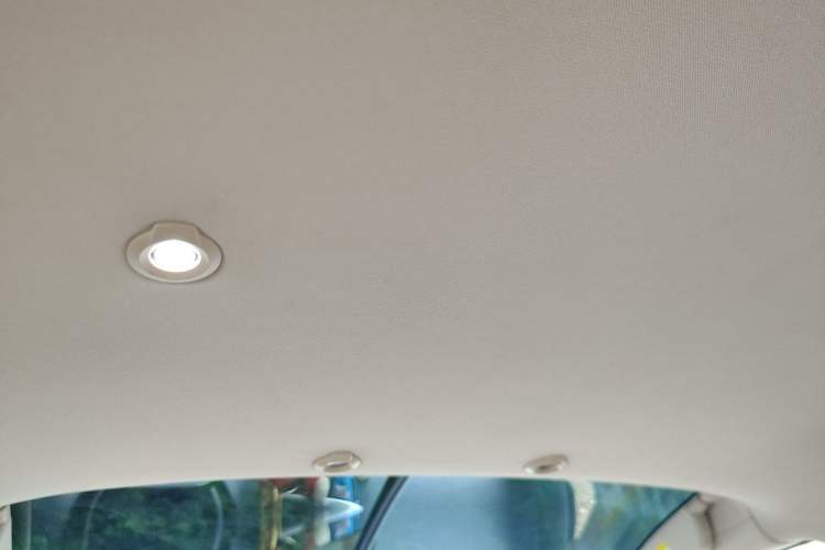 Used XPeng G3 2019 Smart Edition Headliner