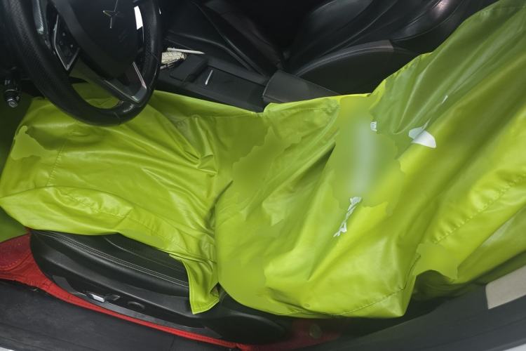 Used XPeng G3 2019 Deluxe Edition Left Front Seat