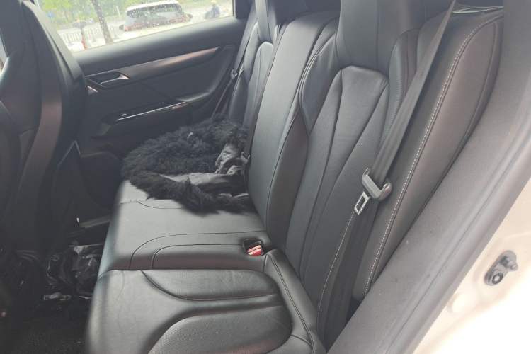 Used XPeng G3 2019 Smart Edition Left Rear Seat