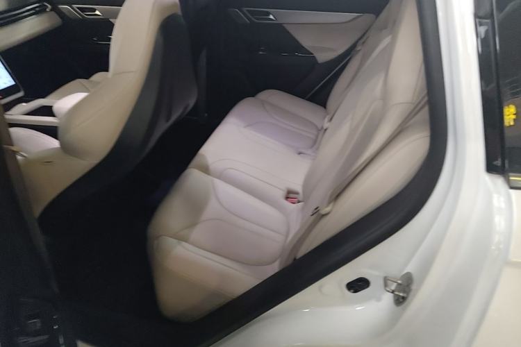Used XPeng G3 2019 Smart Edition Left Rear Seat
