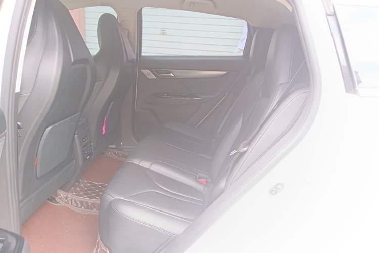 Used XPeng G3 2019 Smart Edition Left Rear Seat
