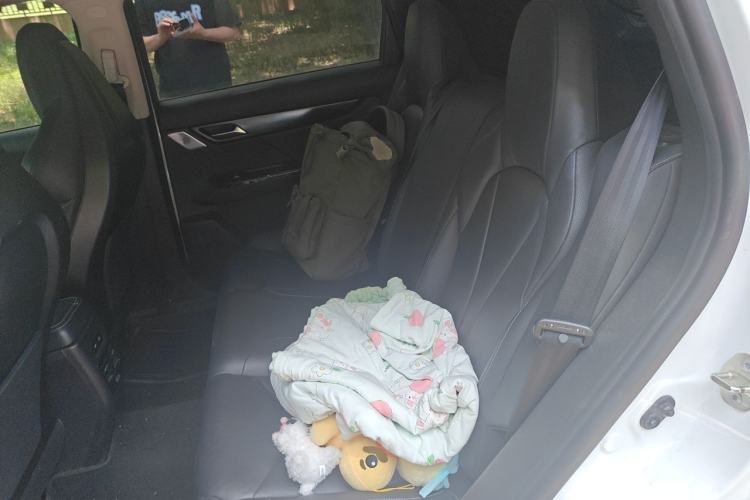 Used XPeng G3 2019 Smart Edition Left Rear Seat