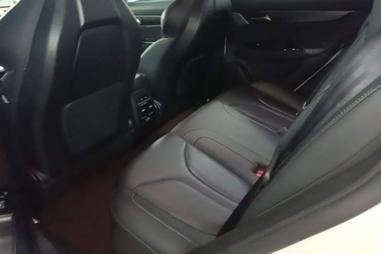 Used XPeng G3 2019 Deluxe Edition Left Rear Seat