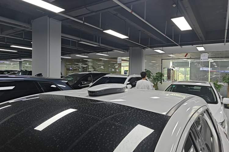 Used XPeng G3 2019 Deluxe Edition Roof