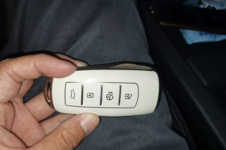 Used XPeng G3 2019 Smart Edition Vehicle Key