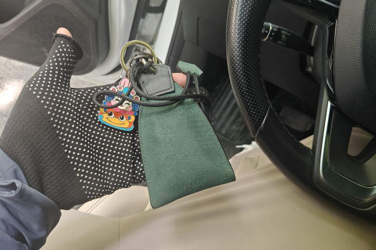 Used XPeng G3 2019 Smart Edition Vehicle Key