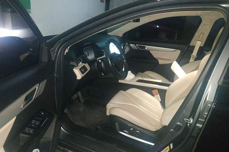 Used XPeng G3 2020 400 Deluxe Edition Driver Seat