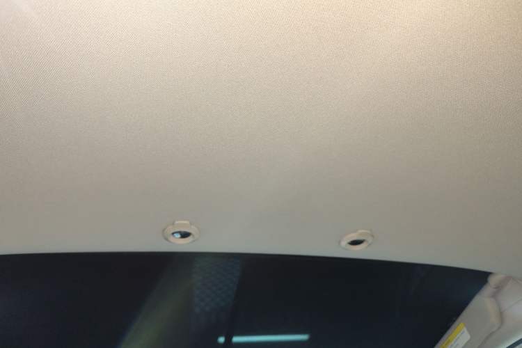 Used XPeng G3 2020 520i Luxury Edition Headliner