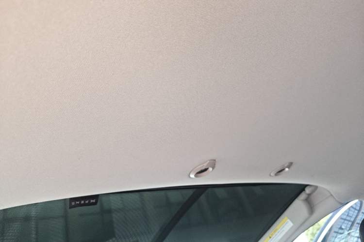 Used XPeng G3 2020 520i Enjoyment Edition Headliner