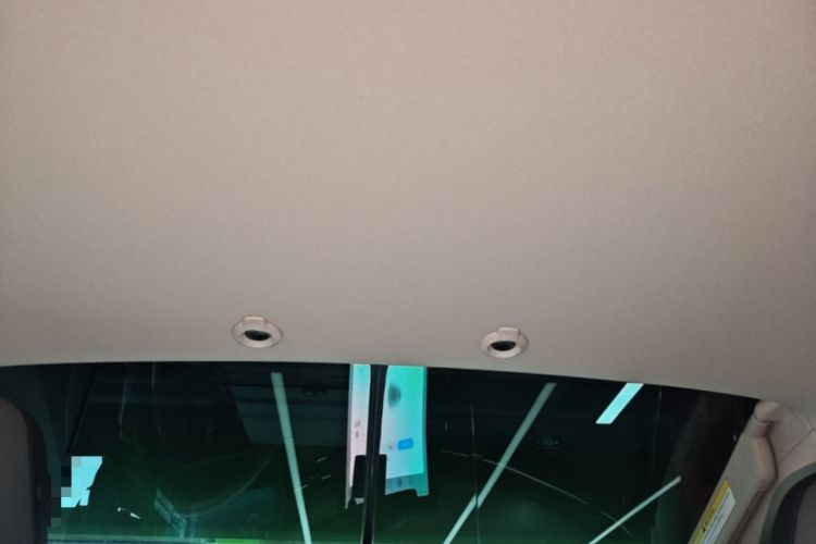 Used XPeng G3 2020 520i Luxury Edition Headliner