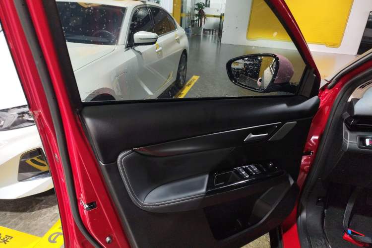 Used XPeng G3 2020 520i Enjoyment Edition Left Front Door Interior
