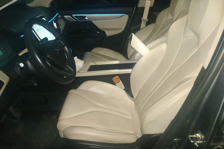 Used XPeng G3 2020 400 Deluxe Edition Left Front Seat