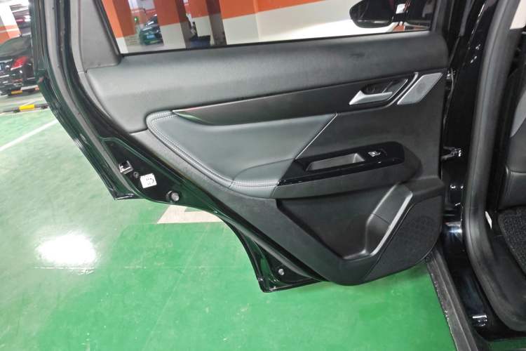 Used XPeng G3 2020 520i Luxury Edition Left Rear Door Interior