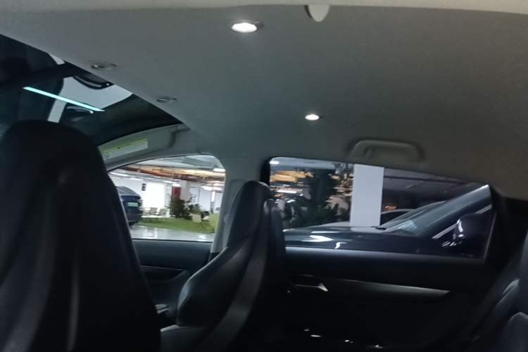 Used XPeng G3 2020 520 Smart Edition Headliner