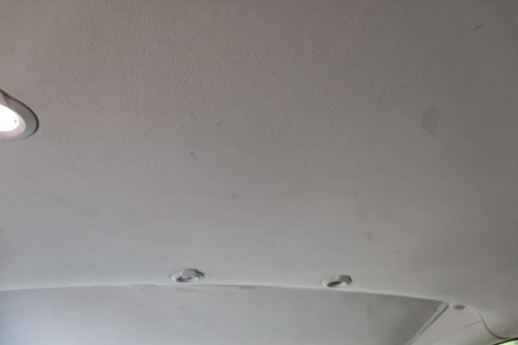 Used XPeng G3 2020 520i Luxury Edition Headliner