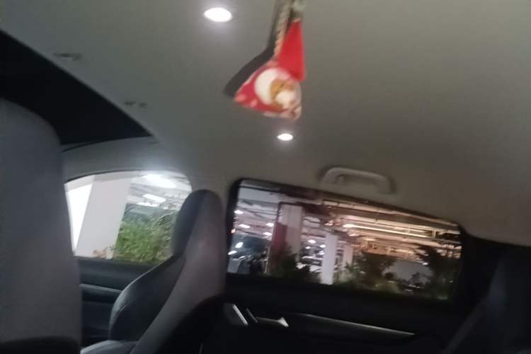 Used XPeng G3 2020 520i Luxury Edition Headliner