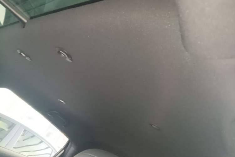 Used XPeng G3 2020 520 Smart Edition Headliner