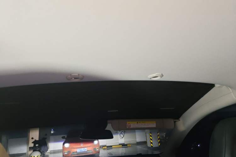 Used XPeng G3 2020 460 Smart Edition Headliner