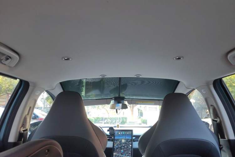 Used XPeng G3 2020 460i Luxury Edition Headliner