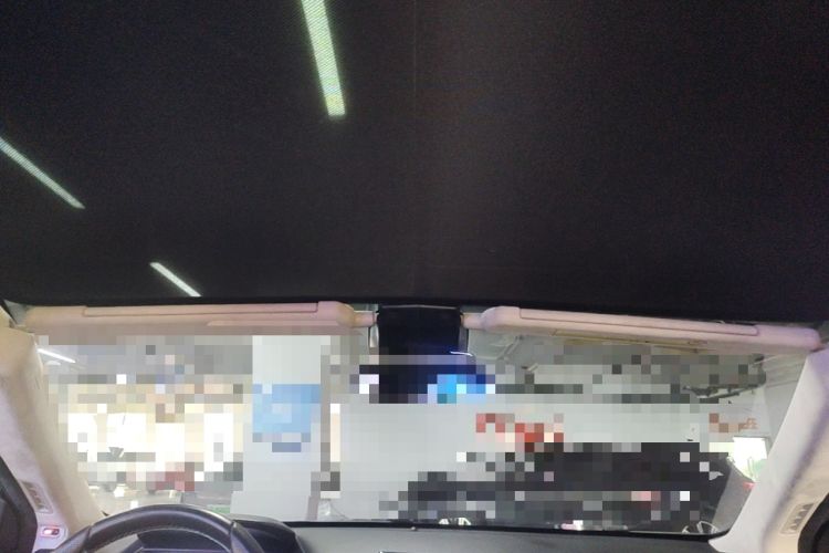 Used XPeng G3 2020 520 Luxury Edition Headliner