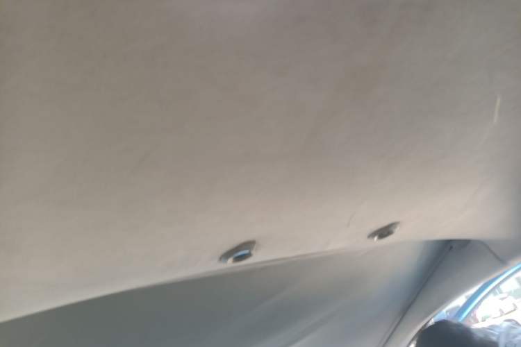 Used XPeng G3 2020 400 Deluxe Edition Headliner