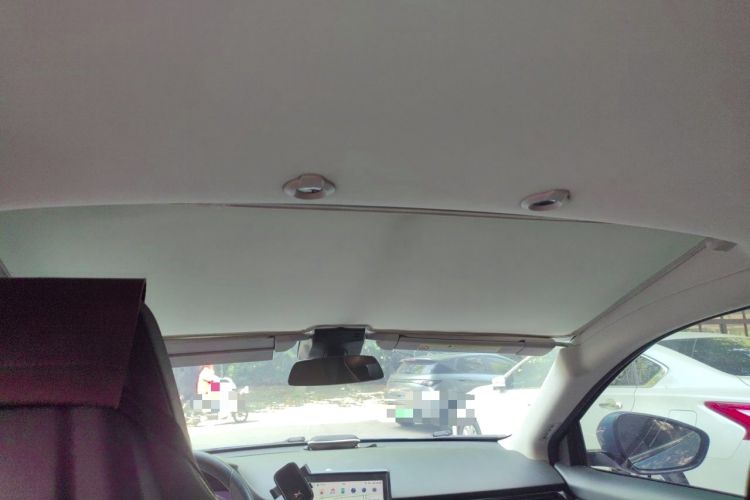 Used XPeng G3 2020 520 Smart Edition Headliner