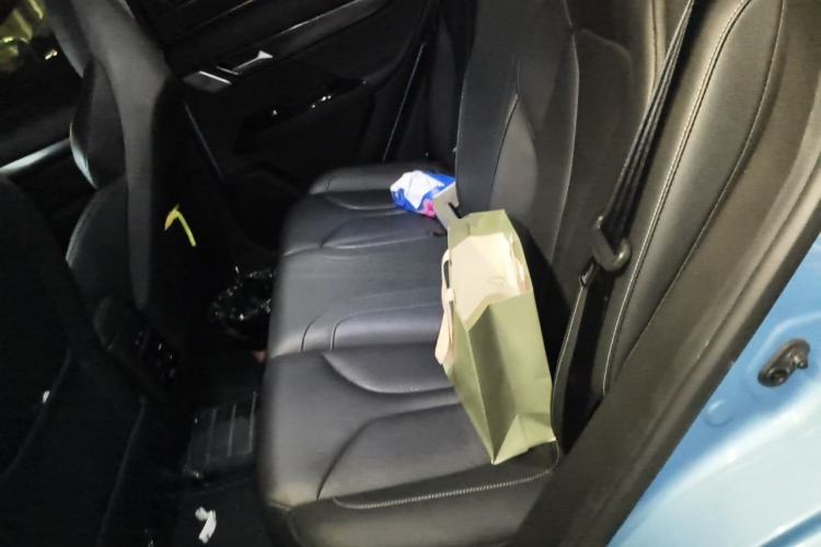 Used XPeng G3 2020 520i Luxury Edition Left Rear Seat