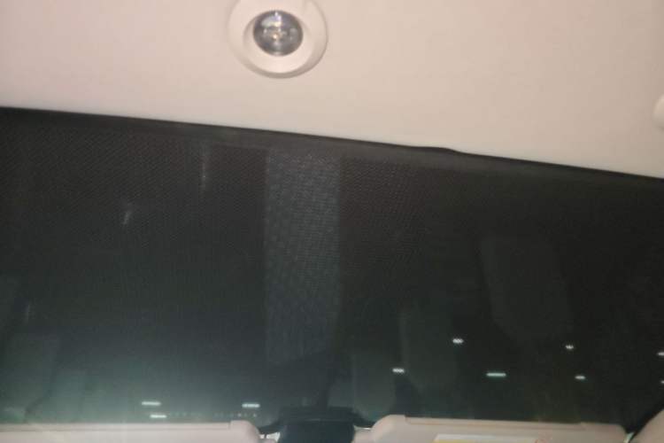 Used XPeng G3 2020 520 Smart Edition Headliner