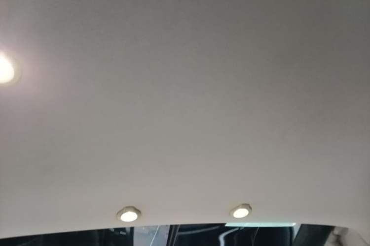 Used XPeng G3 2020 520 Smart Edition Headliner