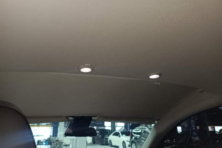 Used XPeng G3 2020 520i Luxury Edition Headliner