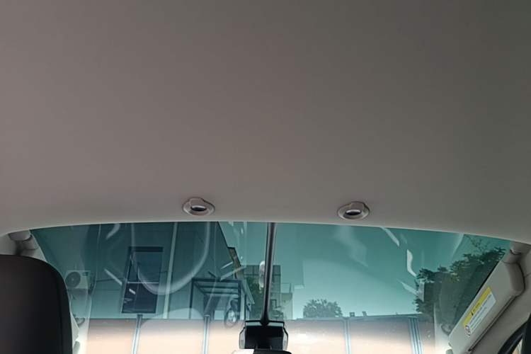 Used XPeng G3 2020 520i Luxury Edition Headliner