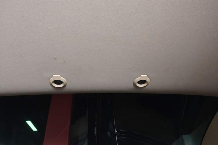 Used XPeng G3 2020 520 Smart Edition Headliner
