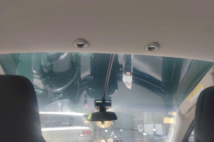 Used XPeng G3 2020 460i Luxury Edition Headliner