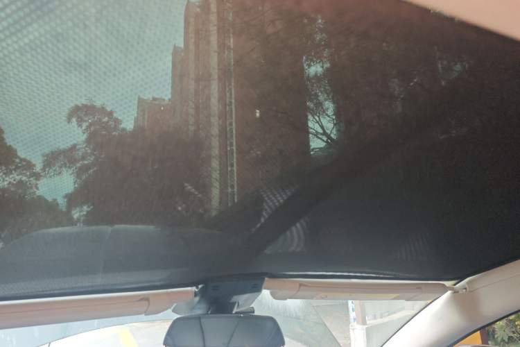 Used XPeng G3 2020 460i Luxury Edition Headliner