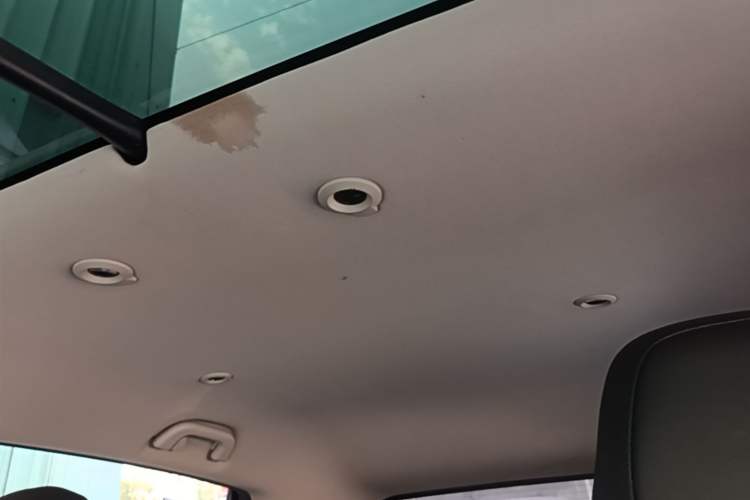 Used XPeng G3 2020 520 Smart Edition Headliner