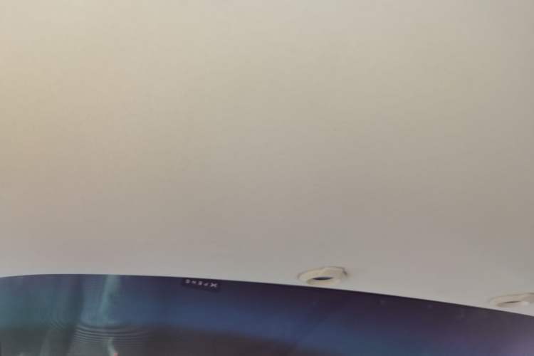 Used XPeng G3 2020 520 Smart Edition Headliner
