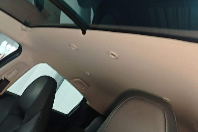 Used XPeng G3 2020 520 Smart Edition Headliner