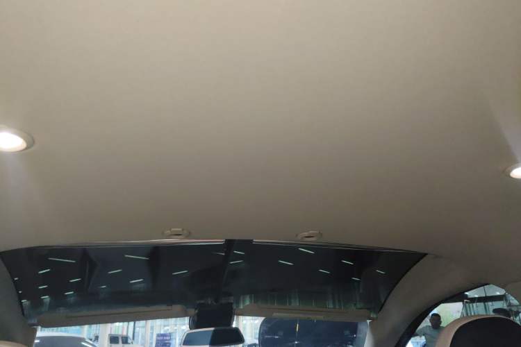 Used XPeng G3 2020 460i Luxury Edition Headliner