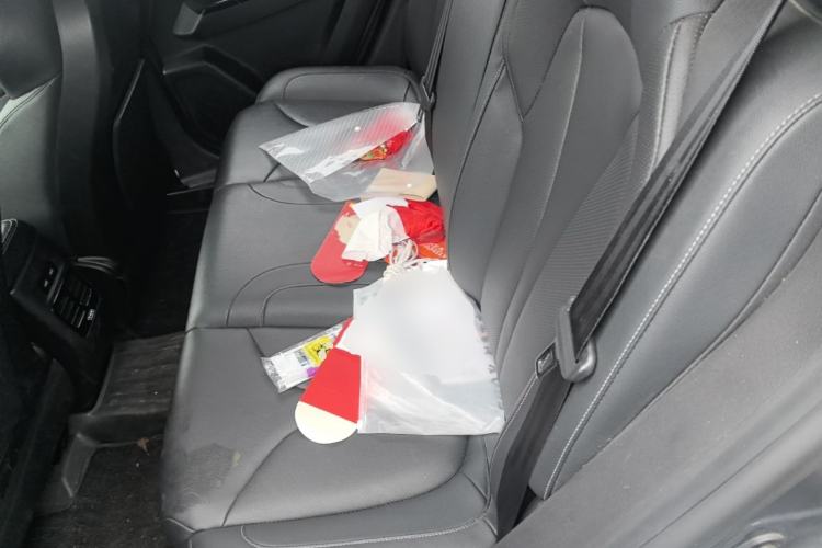 Used XPeng G3 2020 520 Smart Edition Left Rear Seat