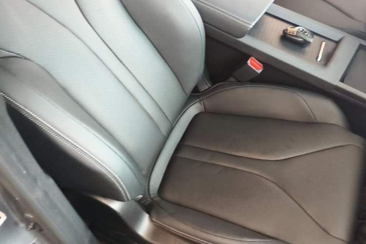 Used XPeng G3 2020 520i Luxury Edition Right Front Seat