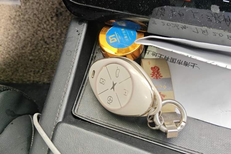 Used XPeng G3 2020 520i Luxury Edition Vehicle Key
