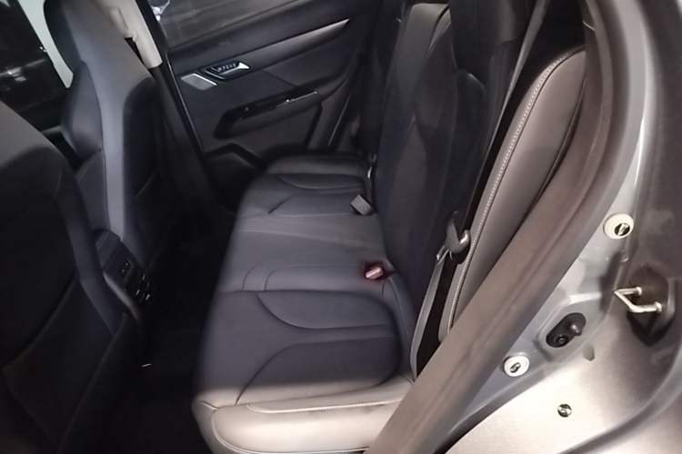 Used XPeng G3 2020 520i Luxury Edition Left Rear Seat