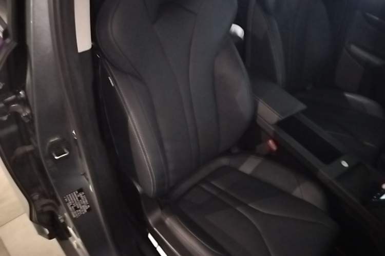 Used XPeng G3 2020 520i Luxury Edition Right Front Seat